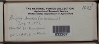 Image Associated With the Occurence